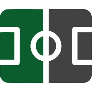 SetTrue Logo